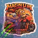 Victory Magnum 31-36.webp