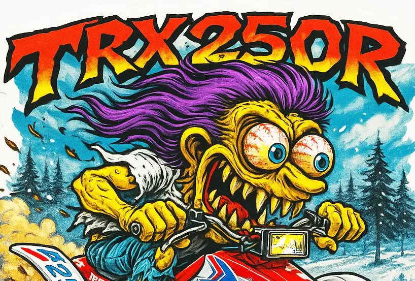 Honda TRX250R ATV Durable Vinyl Sticker Series Number 16 of 18