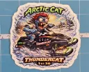 Arctic Cat Thundercat Monster Vinyl Sticker 9x9cm 01/36